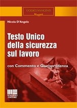 Testo Unico Della Sicurezza Sul Lavoro - LavoriPubblici