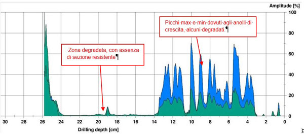 Archindagini - Diagnosi delle strutture in legno esistenti negli edifici storici